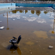 Illustration for article titled The Desolate State of Athens Olympic Venues 10 Years Later